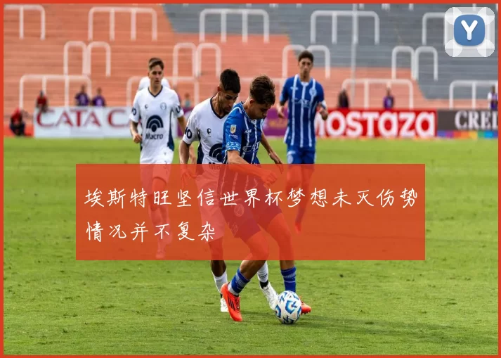 埃斯特旺坚信世界杯梦想未灭伤势情况并不复杂