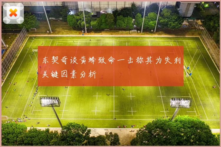 东契奇谈黄蜂致命一击称其为失利关键因素分析
